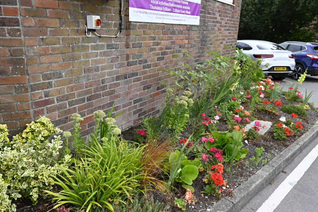 Community Garden Projects image