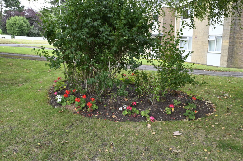 Community Garden Projects image