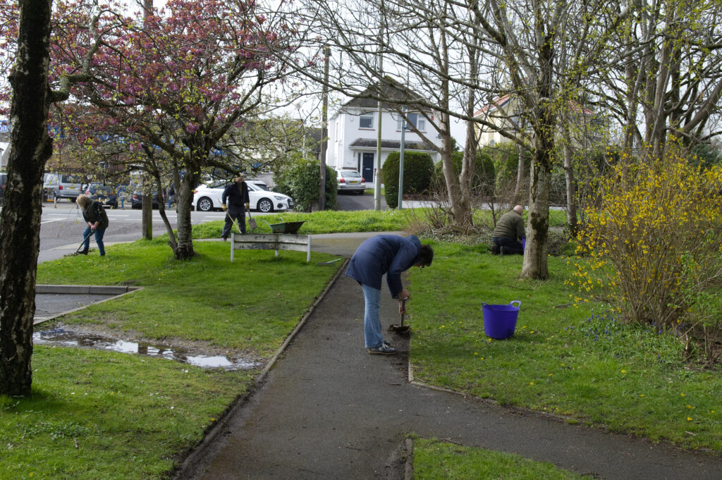 Community Garden Projects image