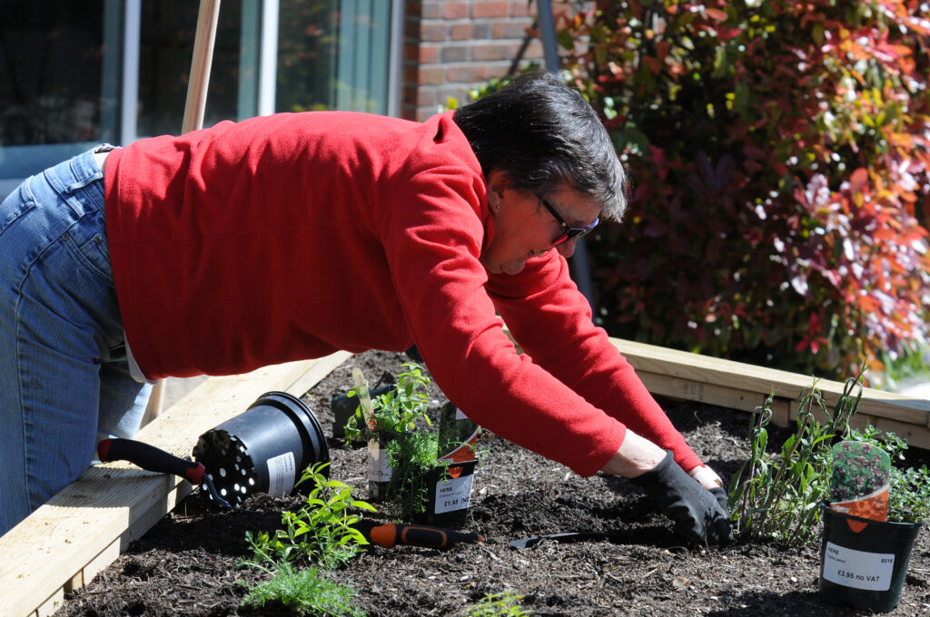 Community Garden Projects image