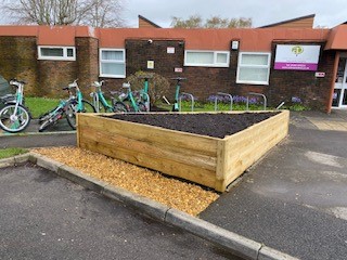 Community Garden Projects image